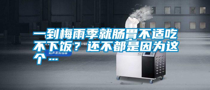 一到梅雨季就腸胃不適吃不下飯？還不都是因為這個…