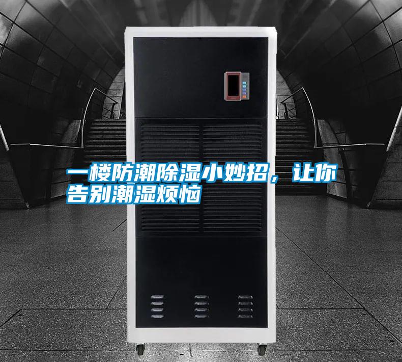 一樓防潮除濕小妙招,讓你告別潮濕煩惱