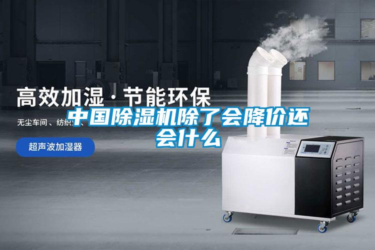 中國除濕機(jī)除了會降價(jià)還會什么