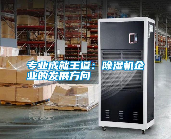 專業成就王道:除濕機企業的發展方向
