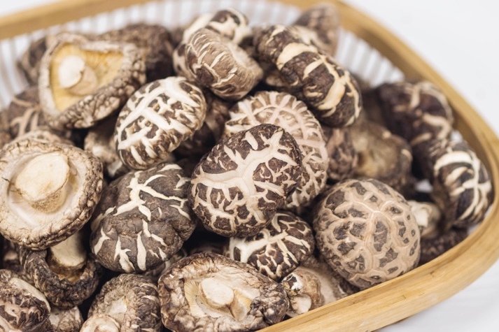 干貨倉庫怎么利用除濕機保持干爽？