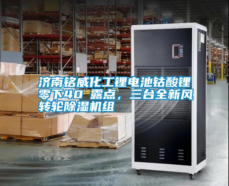 濟(jì)南銘威化工鋰電池鈷酸鋰零下40℃露點(diǎn),三臺(tái)全新風(fēng)轉(zhuǎn)輪除濕機(jī)組