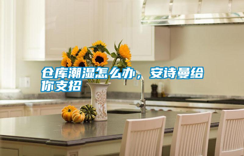 倉庫潮濕怎么辦,安詩曼給你支招