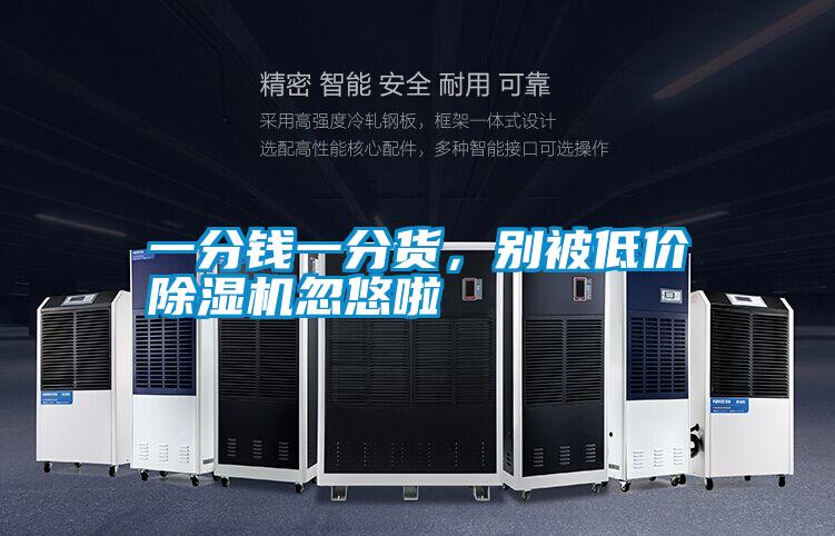 一分錢一分貨，別被低價除濕機忽悠啦