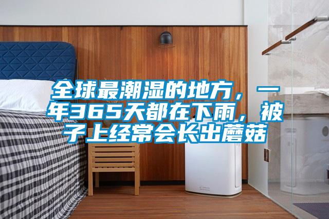 全球最潮濕的地方,一年365天都在下雨,被子上經常會長出蘑菇