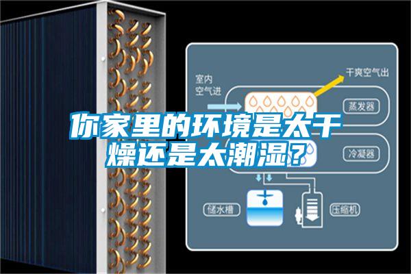你家里的環(huán)境是太干燥還是太潮濕?