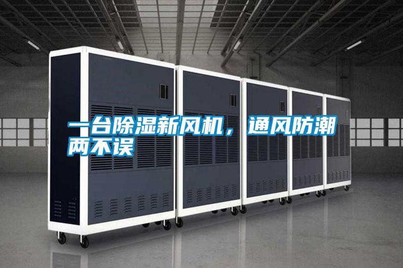 一臺除濕新風機，通風防潮兩不誤