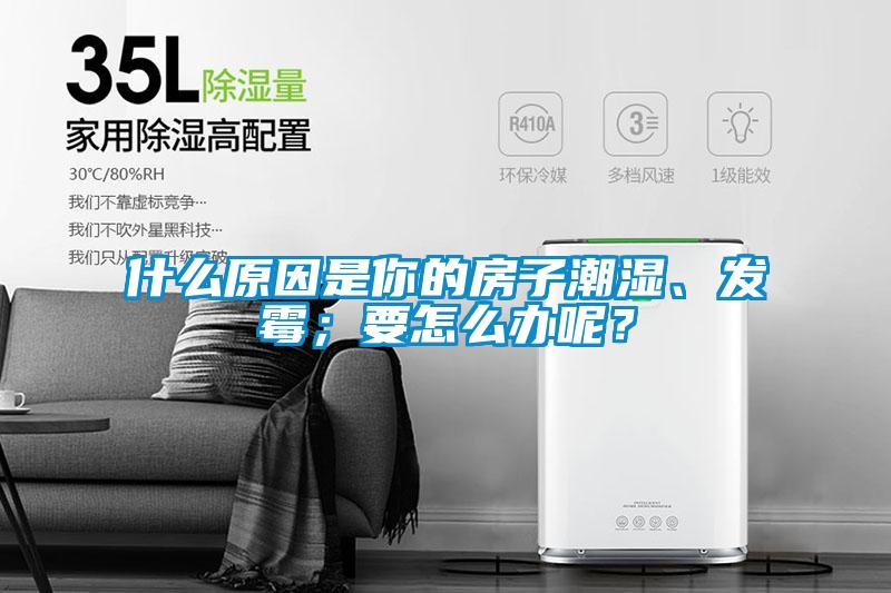 什么原因是你的房子潮濕、發霉;要怎么辦呢?