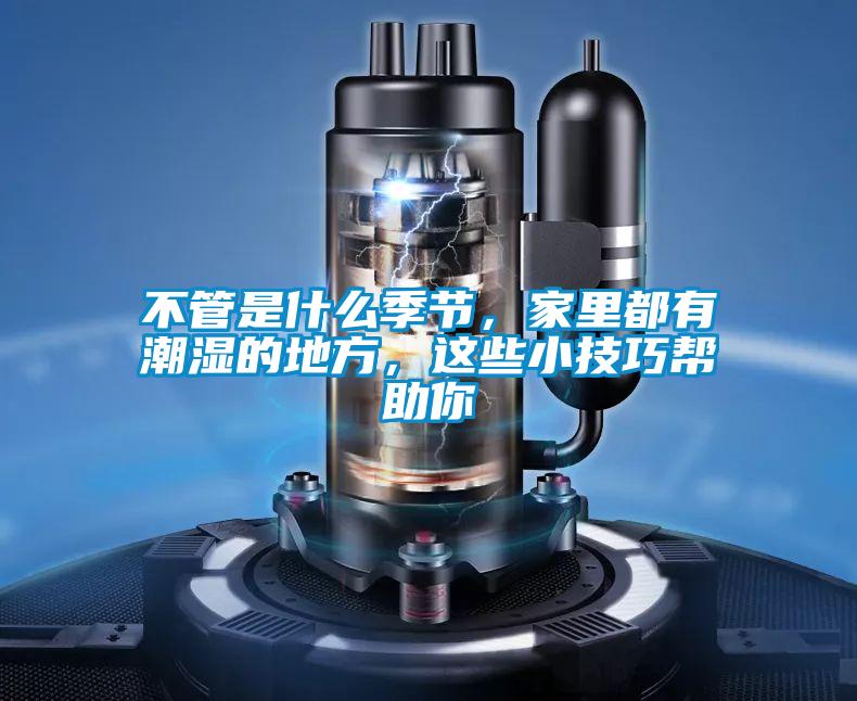 不管是什么季節(jié),家里都有潮濕的地方,這些小技巧幫助你