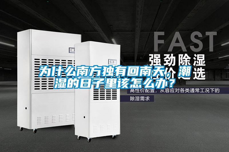 為什么南方獨有回南天,潮濕的日子里該怎么辦?