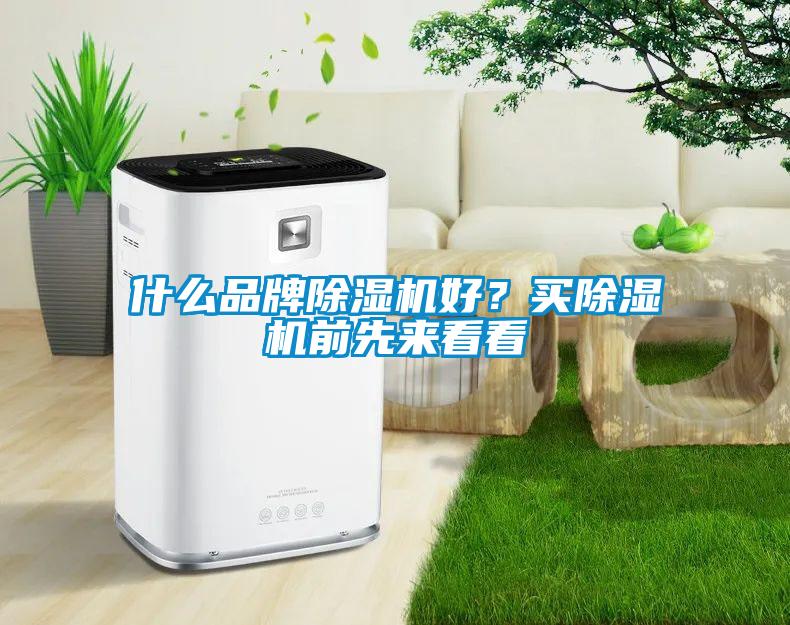 什么品牌除濕機(jī)好?買除濕機(jī)前先來看看