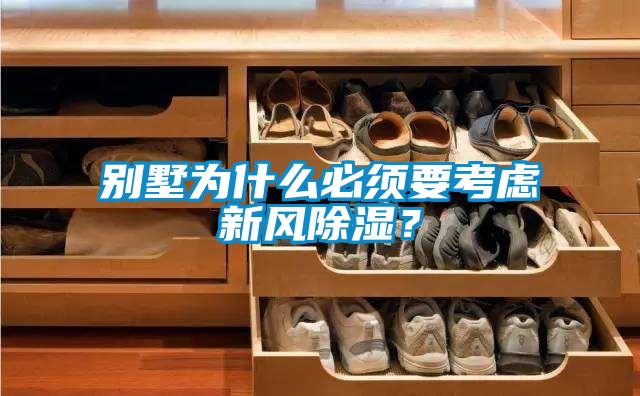 別墅為什么必須要考慮新風除濕?