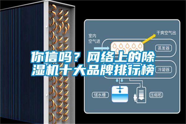 你信嗎?網絡上的除濕機十大品牌排行榜