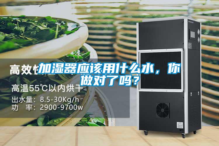 加濕器應該用什么水,你做對了嗎?