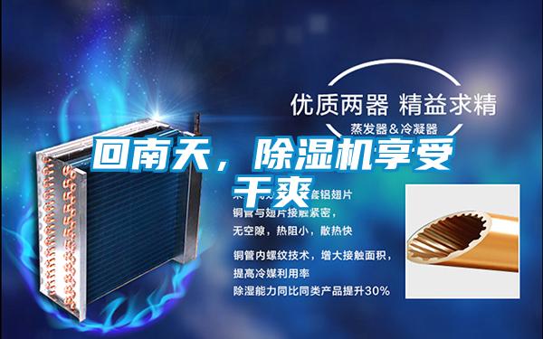 回南天,除濕機享受干爽