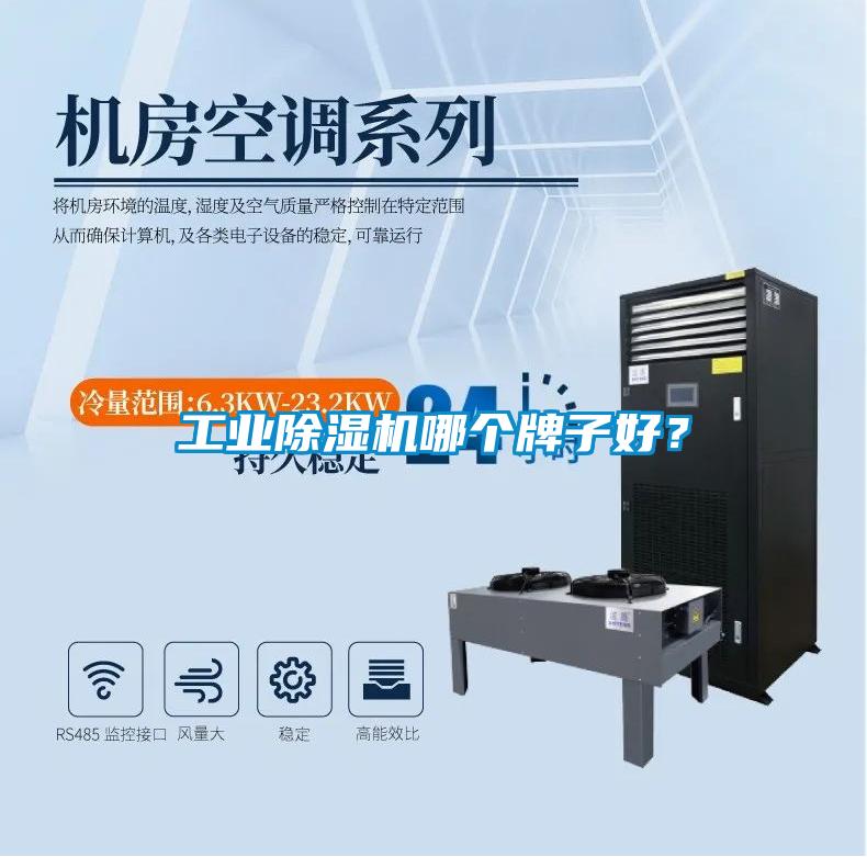 工業除濕機哪個牌子好?