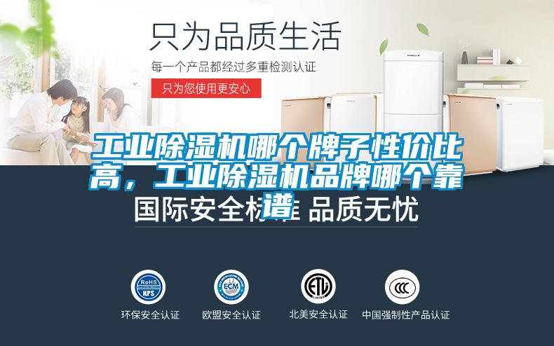 工業(yè)除濕機(jī)哪個(gè)牌子性價(jià)比高,工業(yè)除濕機(jī)品牌哪個(gè)靠譜