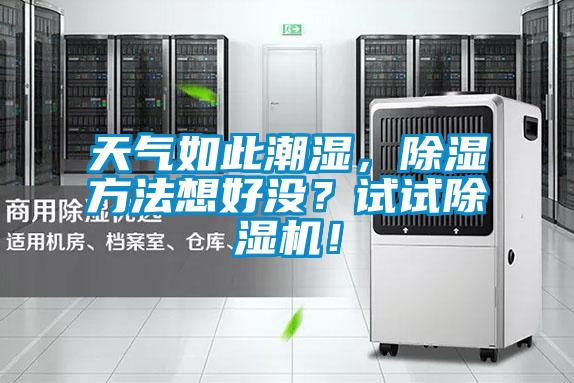 天氣如此潮濕,除濕方法想好沒(méi)?試試除濕機(jī)!