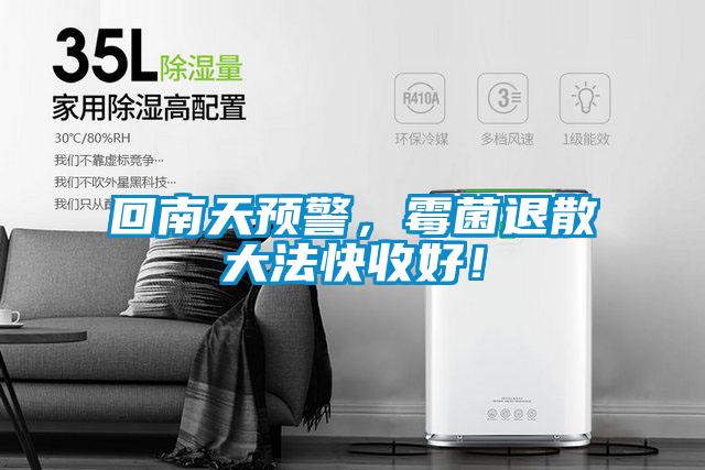 回南天預警,霉菌退散大法快收好!