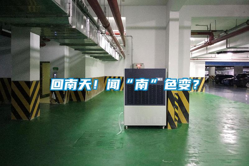 回南天!聞“南”色變?