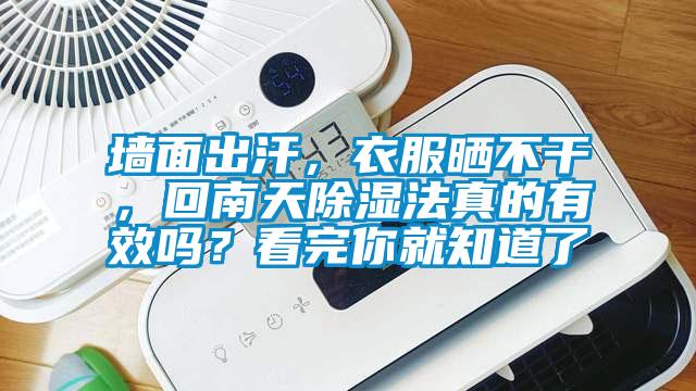 墻面出汗,衣服曬不干,回南天除濕法真的有效嗎?看完你就知道了