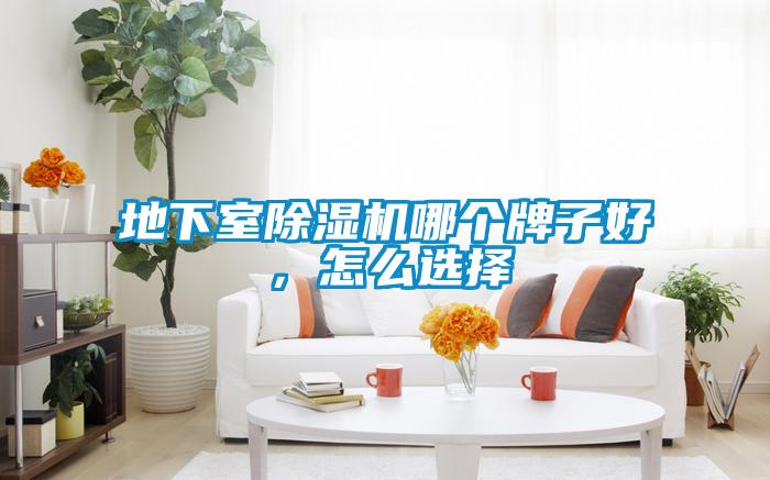 地下室除濕機哪個牌子好,怎么選擇