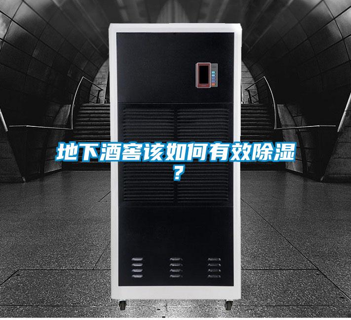 地下酒窖該如何有效除濕？