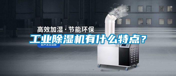 工業(yè)除濕機(jī)有什么特點(diǎn)?