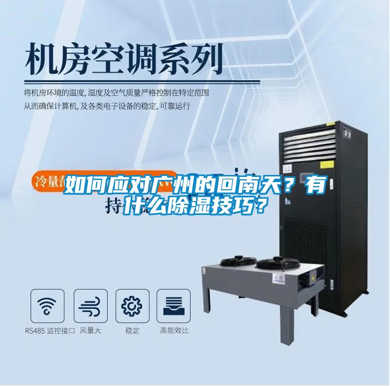 如何應對廣州的回南天?有什么除濕技巧?