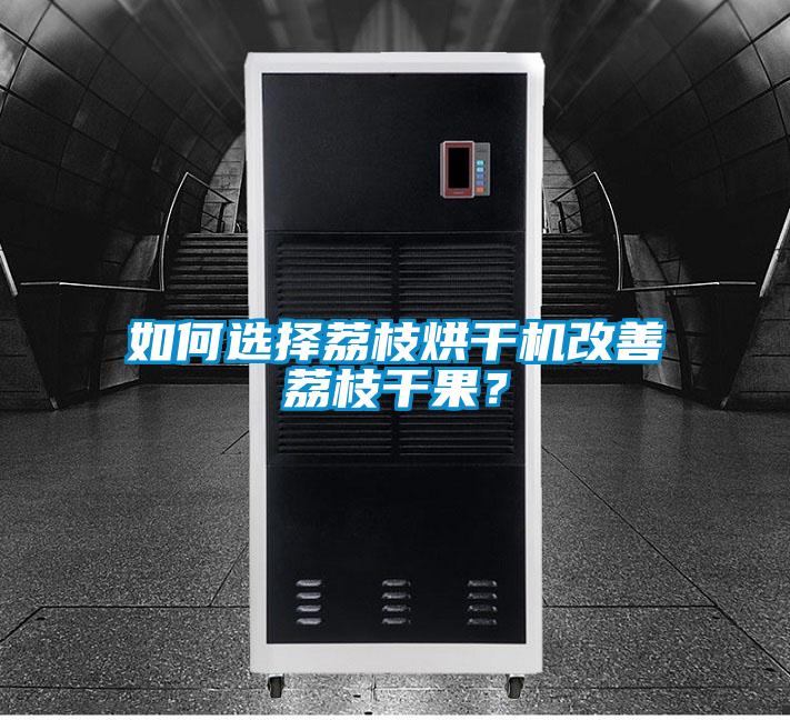 如何選擇荔枝烘干機改善荔枝干果?