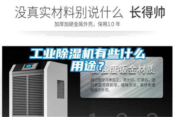 工業(yè)除濕機有些什么用途?