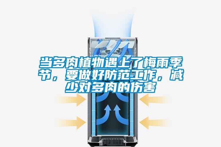 當多肉植物遇上了梅雨季節，要做好防范工作，減少對多肉的傷害