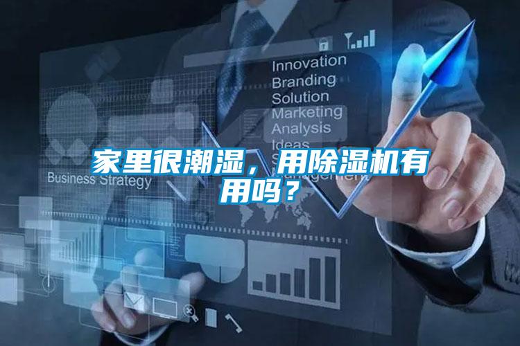 家里很潮濕,用除濕機有用嗎?