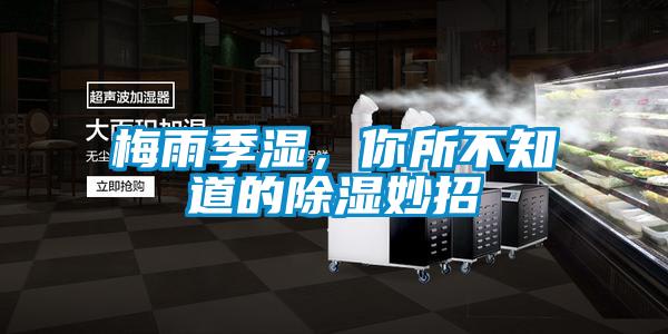 梅雨季濕，你所不知道的除濕妙招