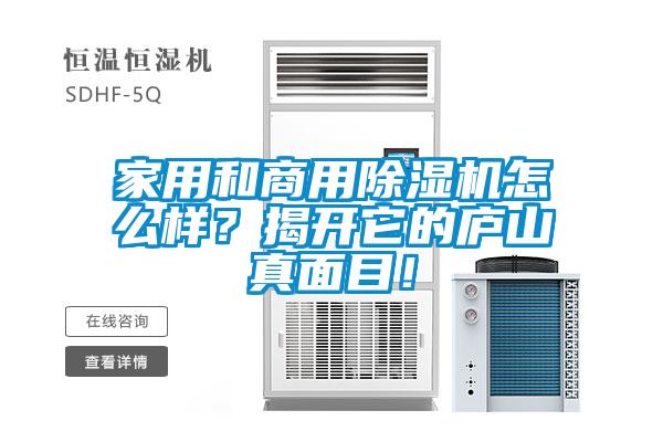 家用和商用除濕機怎么樣？揭開它的廬山真面目！