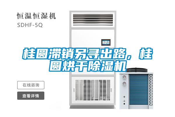 桂圓滯銷另尋出路，桂圓烘干除濕機