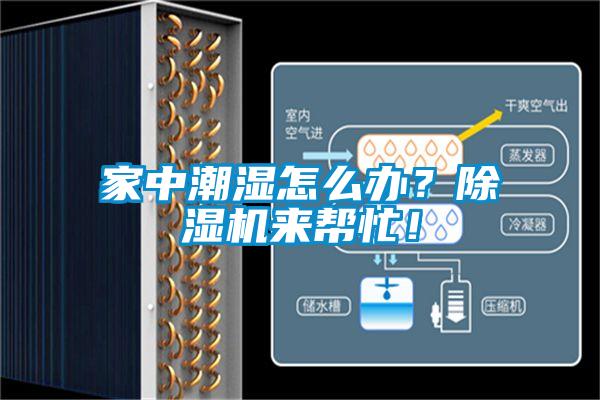 家中潮濕怎么辦?除濕機(jī)來幫忙!