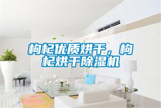 枸杞優質烘干，枸杞烘干除濕機