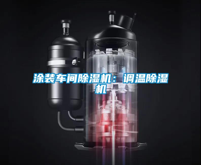 涂裝車間除濕機:調溫除濕機