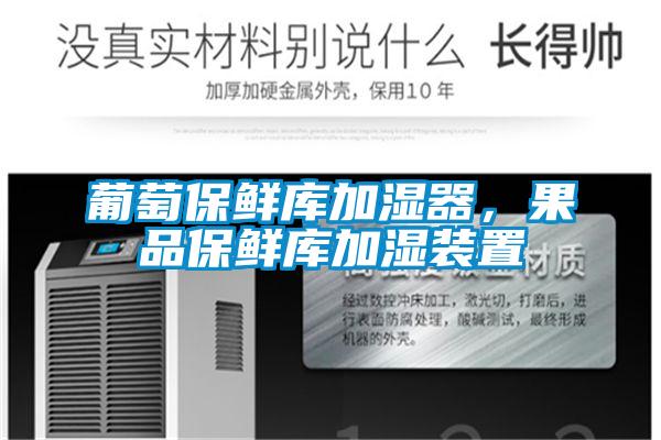 葡萄保鮮庫加濕器,果品保鮮庫加濕裝置