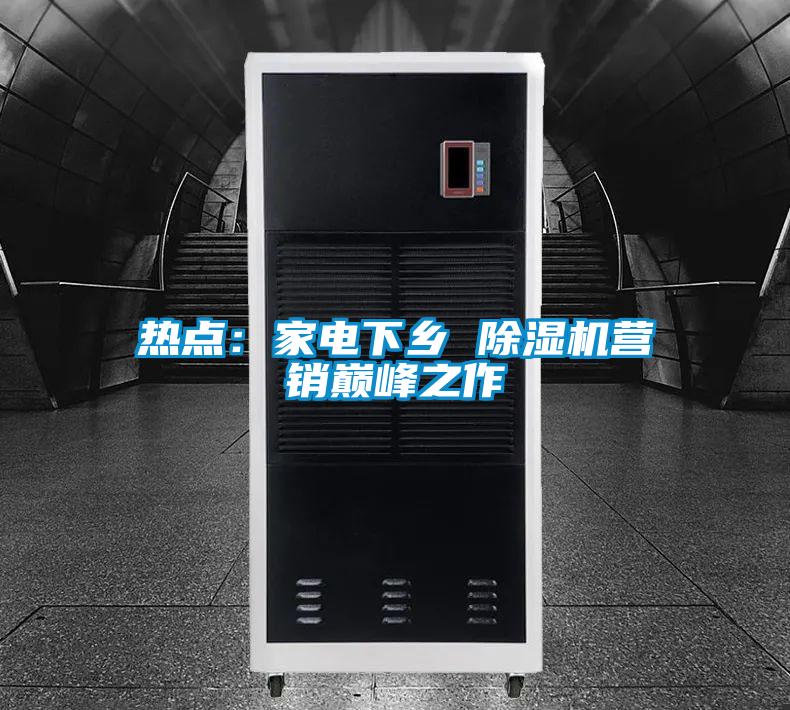 熱點(diǎn):家電下鄉(xiāng) 除濕機(jī)營銷巔峰之作