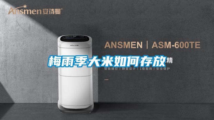 梅雨季大米如何存放