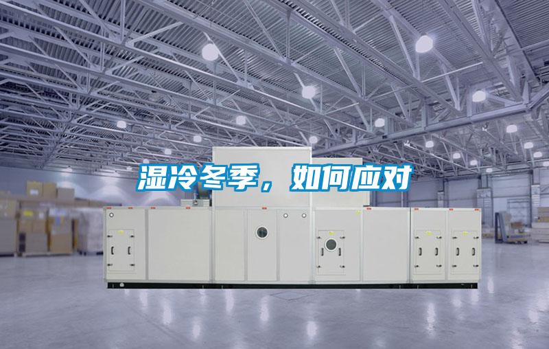 濕冷冬季,如何應(yīng)對