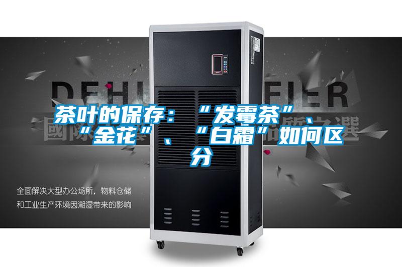 茶葉的保存：“發(fā)霉茶”、“金花”、“白霜”如何區(qū)分