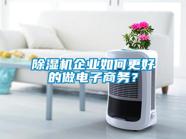 除濕機(jī)企業(yè)如何更好的做電子商務(wù)？