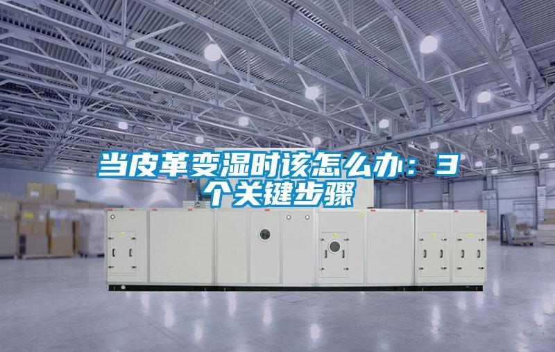 當皮革變濕時該怎么辦:3個關鍵步驟