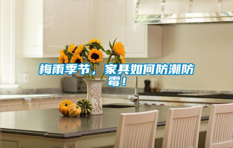 梅雨季節，家具如何防潮防霉！