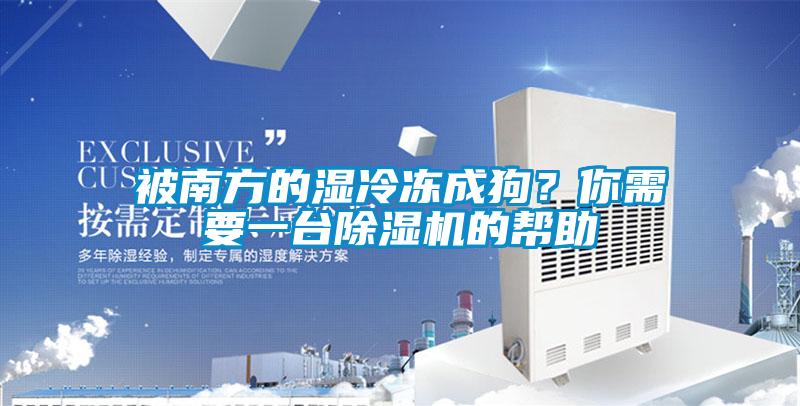 被南方的濕冷凍成狗?你需要一臺除濕機的幫助