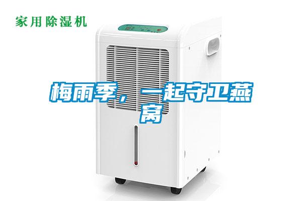 梅雨季,一起守衛燕窩