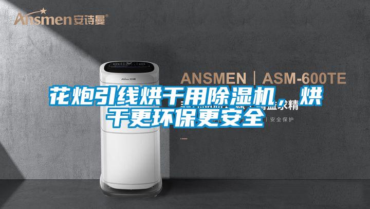 花炮引線烘干用除濕機,烘干更環(huán)保更安全